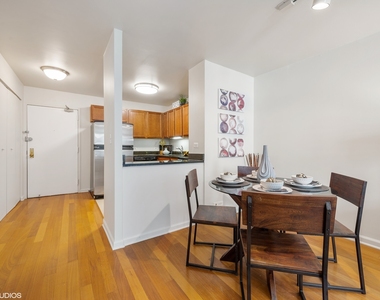222 E Pearson Street - Photo Thumbnail 3
