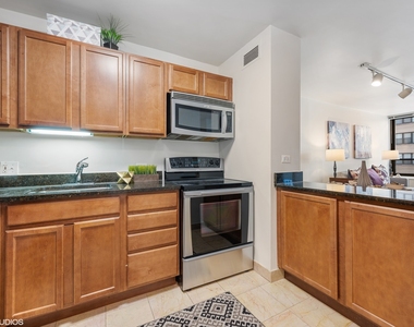 222 E Pearson Street - Photo Thumbnail 5