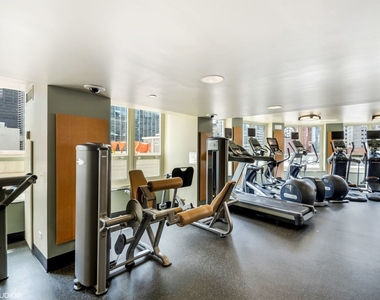 345 N La Salle Drive - Photo Thumbnail 18