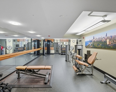 345 N La Salle Drive - Photo Thumbnail 19