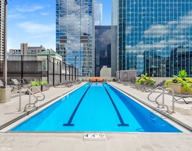 345 N La Salle Drive - Photo Thumbnail 21