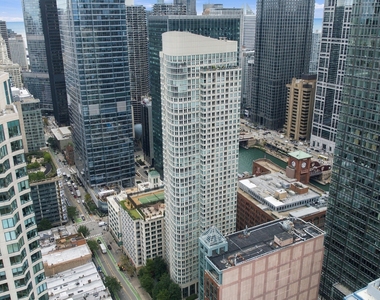 345 N La Salle Drive - Photo Thumbnail 29