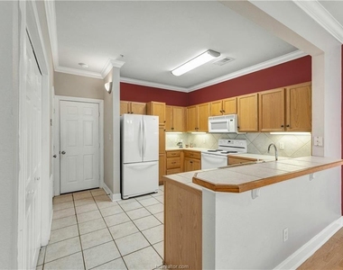801 Luther Street W - Photo Thumbnail 6