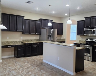 20514 Carolina Cherry Court - Photo Thumbnail 3