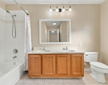 10806 Brown Trout Circle - Photo Thumbnail 15