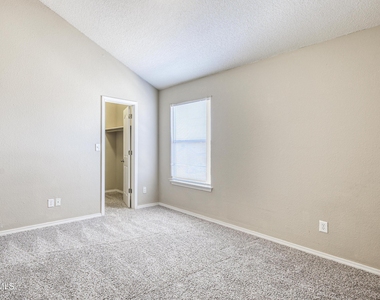 14233 Spanish Point Drive - Photo Thumbnail 58