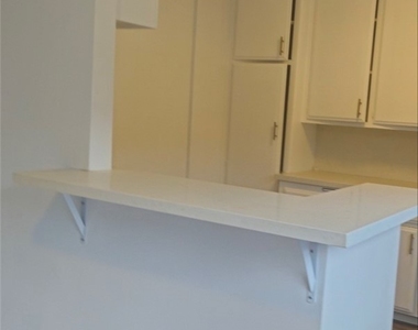 1238 W 87th - Photo Thumbnail 17