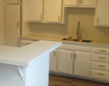 1238 W 87th - Photo Thumbnail 19