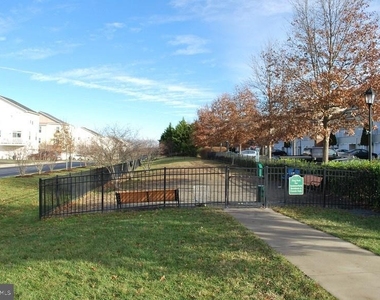 42544 Hollyhock Terrace - Photo Thumbnail 17