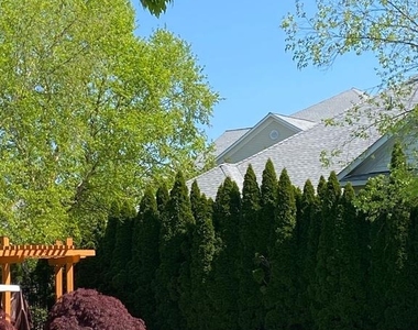 42544 Hollyhock Terrace - Photo Thumbnail 16