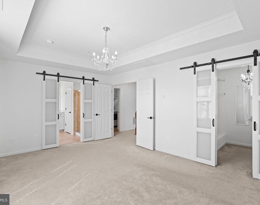 42243 Canary Grass Square - Photo Thumbnail 26