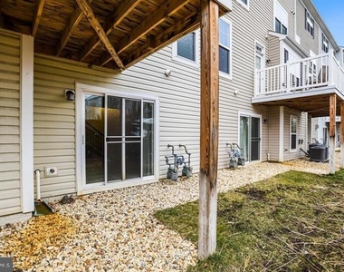 42243 Canary Grass Square - Photo Thumbnail 44
