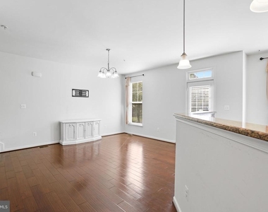 42243 Canary Grass Square - Photo Thumbnail 7