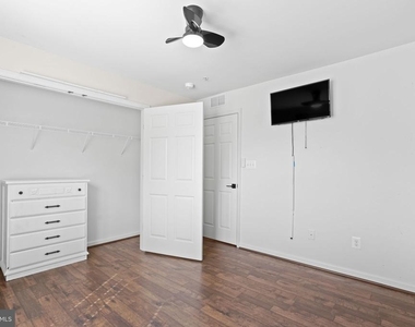 42243 Canary Grass Square - Photo Thumbnail 23