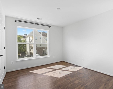 42243 Canary Grass Square - Photo Thumbnail 18