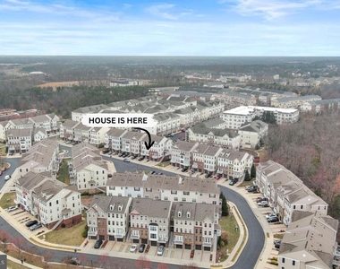 42243 Canary Grass Square - Photo Thumbnail 46