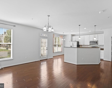 42243 Canary Grass Square - Photo Thumbnail 4