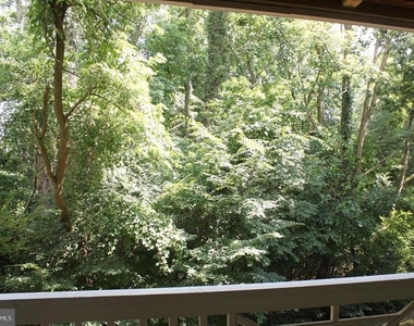 7503 Ashby Lane - Photo Thumbnail 4