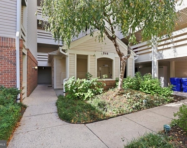 244 S Reynolds Street - Photo Thumbnail 21