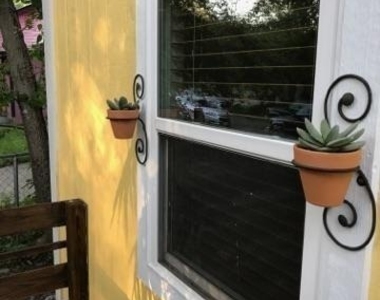 31 Anthony St - Photo Thumbnail 6