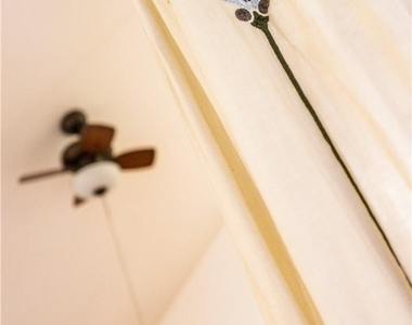 31 Anthony St - Photo Thumbnail 8
