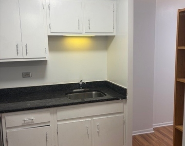 5100 N Marine Drive - Photo Thumbnail 14