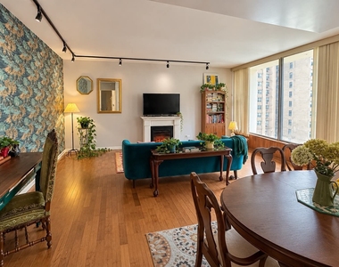 3200 N Lake Shore Drive - Photo Thumbnail 8