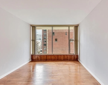 3200 N Lake Shore Drive - Photo Thumbnail 12