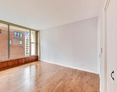 3200 N Lake Shore Drive - Photo Thumbnail 11