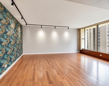 3200 N Lake Shore Drive - Photo Thumbnail 5