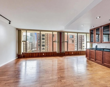 3200 N Lake Shore Drive - Photo Thumbnail 7