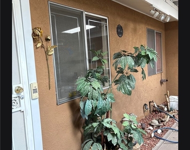 1604 Durell Lane - Photo Thumbnail 3