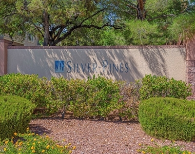 353 Amber Pine Street - Photo Thumbnail 45