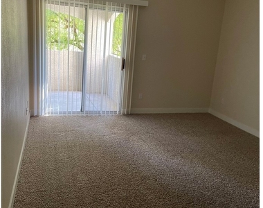 6480 Annie Oakley Drive - Photo Thumbnail 15