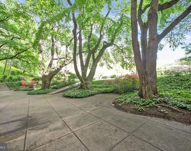 4201 Cathedral Avenue Nw - Photo Thumbnail 55