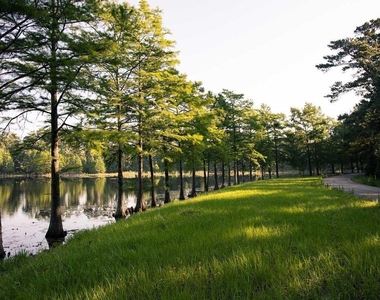 1147 Beals Creek Street - Photo Thumbnail 31