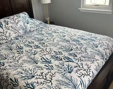 220 Catherine Lane - Photo Thumbnail 13