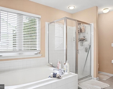 4803 Daisey Creek Terrace - Photo Thumbnail 18