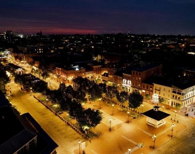 521 S Ann Street - Photo Thumbnail 35