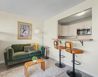 1700 E 56th Street - Photo Thumbnail 3