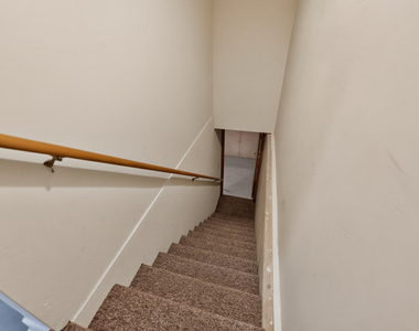 223 Ellen Street - Photo Thumbnail 20