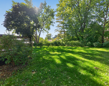 223 Ellen Street - Photo Thumbnail 29