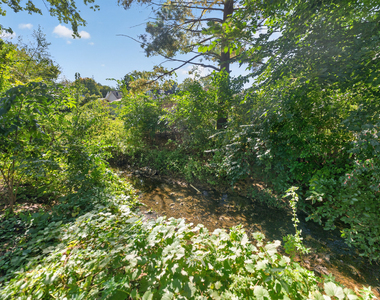 223 Ellen Street - Photo Thumbnail 30