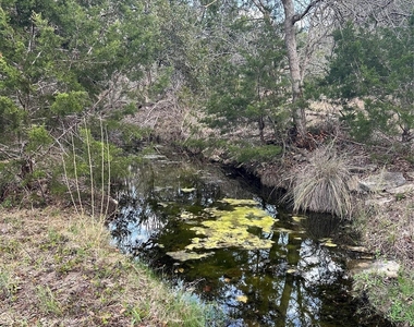 31425 Ranch Road 12 - Photo Thumbnail 23