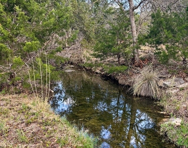 31425 Ranch Road 12 - Photo Thumbnail 18