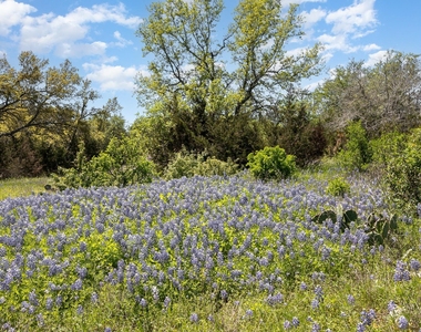 31425 Ranch Road 12 - Photo Thumbnail 19