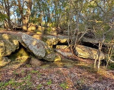 31425 Ranch Road 12 - Photo Thumbnail 26