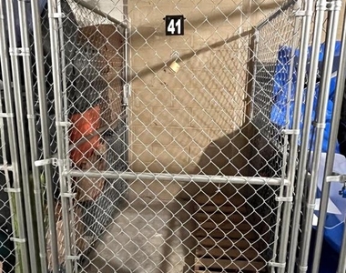 12705 Gordon Boulevard - Photo Thumbnail 22