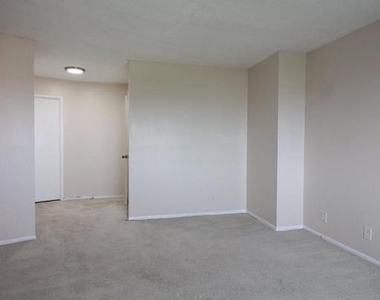 307 Yoakum Parkway - Photo Thumbnail 10