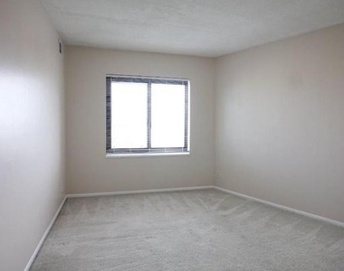 307 Yoakum Parkway - Photo Thumbnail 12